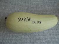 258
