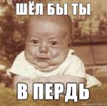 80