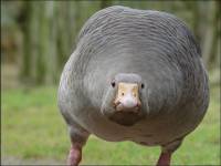 73