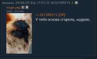 392x239