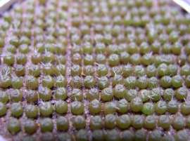500x374