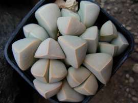 500x375