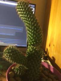 720x960