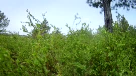 1280x720