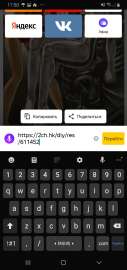 720x1520