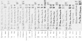8699x4404