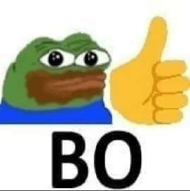336x337