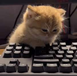 828x823