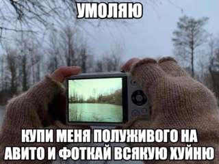 640x481