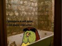 67