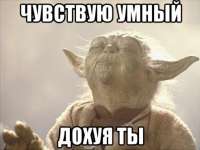 492x369