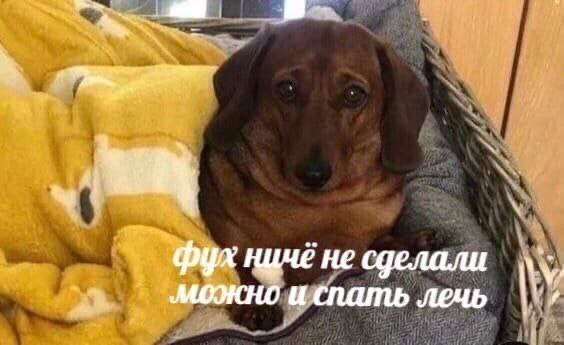 564x345