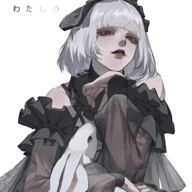 736x736