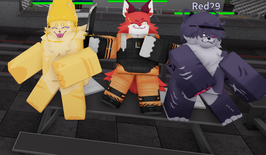 868x505