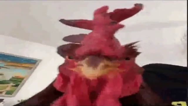 640x360