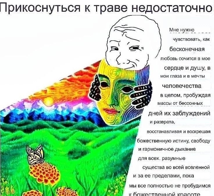736x675