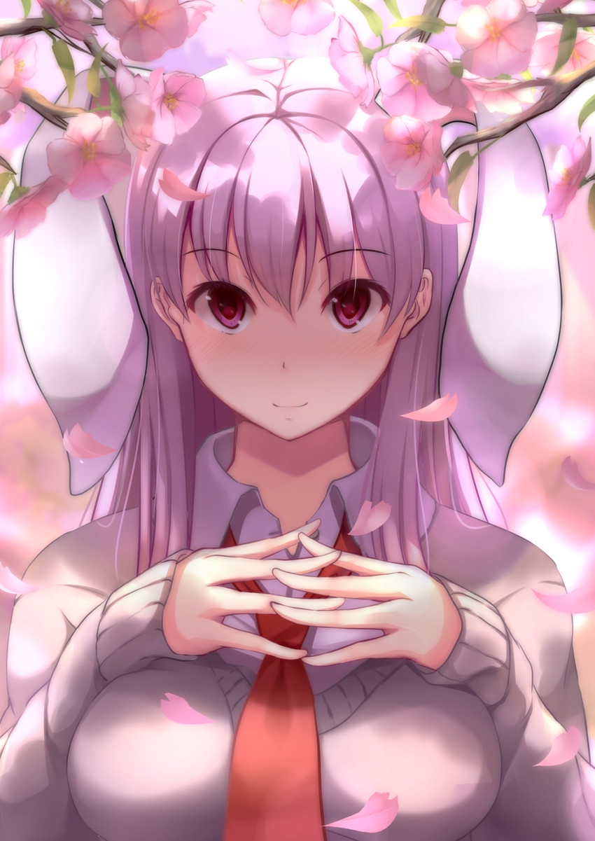 850x1201