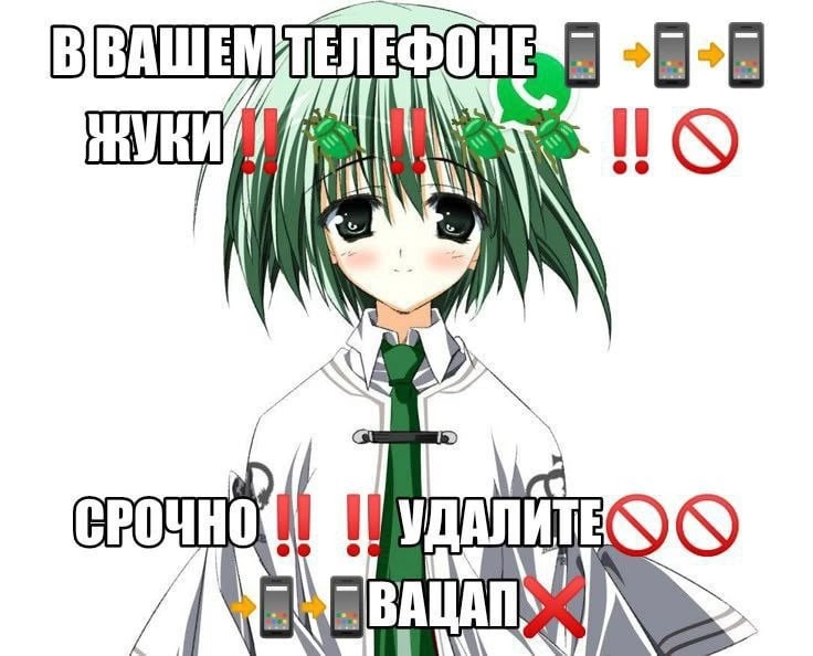 736x594