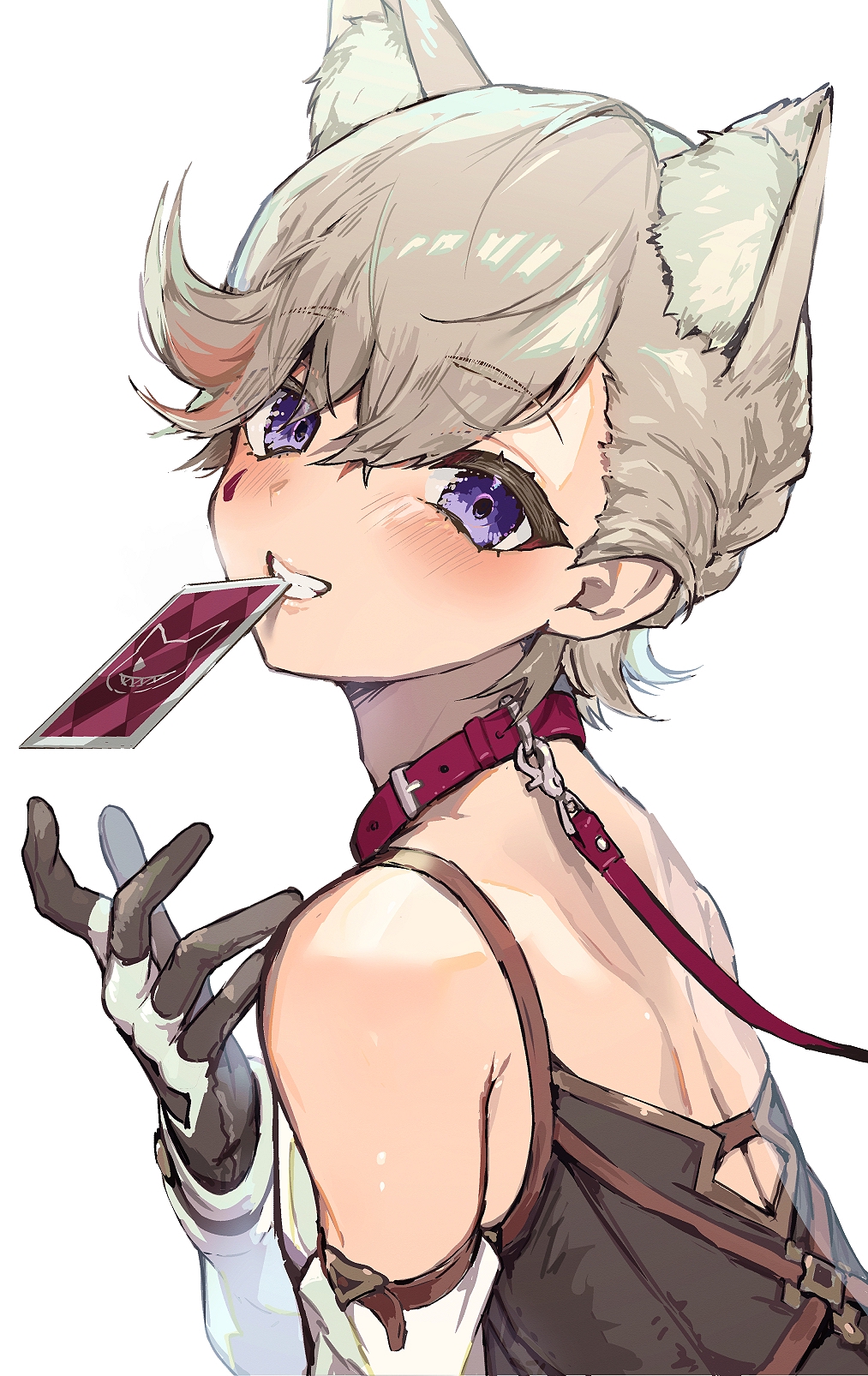 1013x1606
