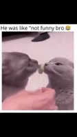 360x640
