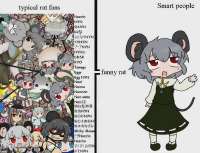 906x697