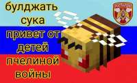 1000x614