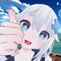 736x736
