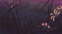 1920x1080