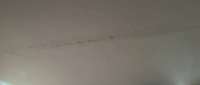 1078x461