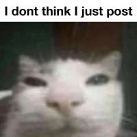1080x1080