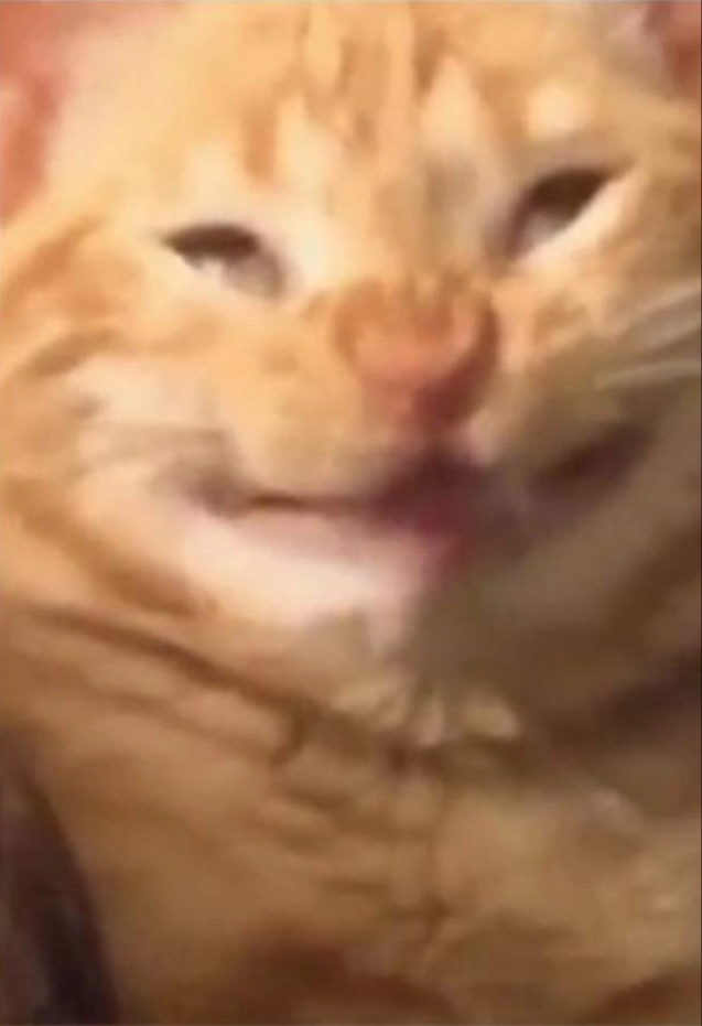 637x931