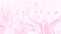 1280x720