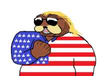 256x197