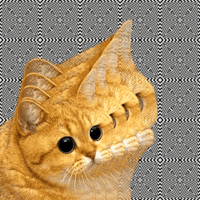 450
