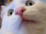 132
