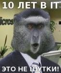 44