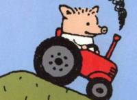 44
