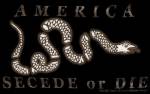 45
