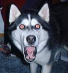 111