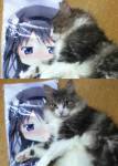 117