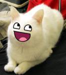 67