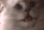570