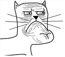 41