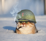 382