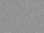 343