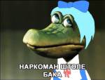 70