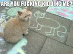 64