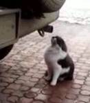 2712