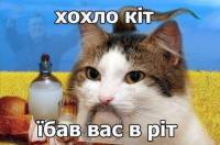 80