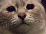 183